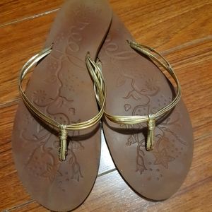 Reef flip flops